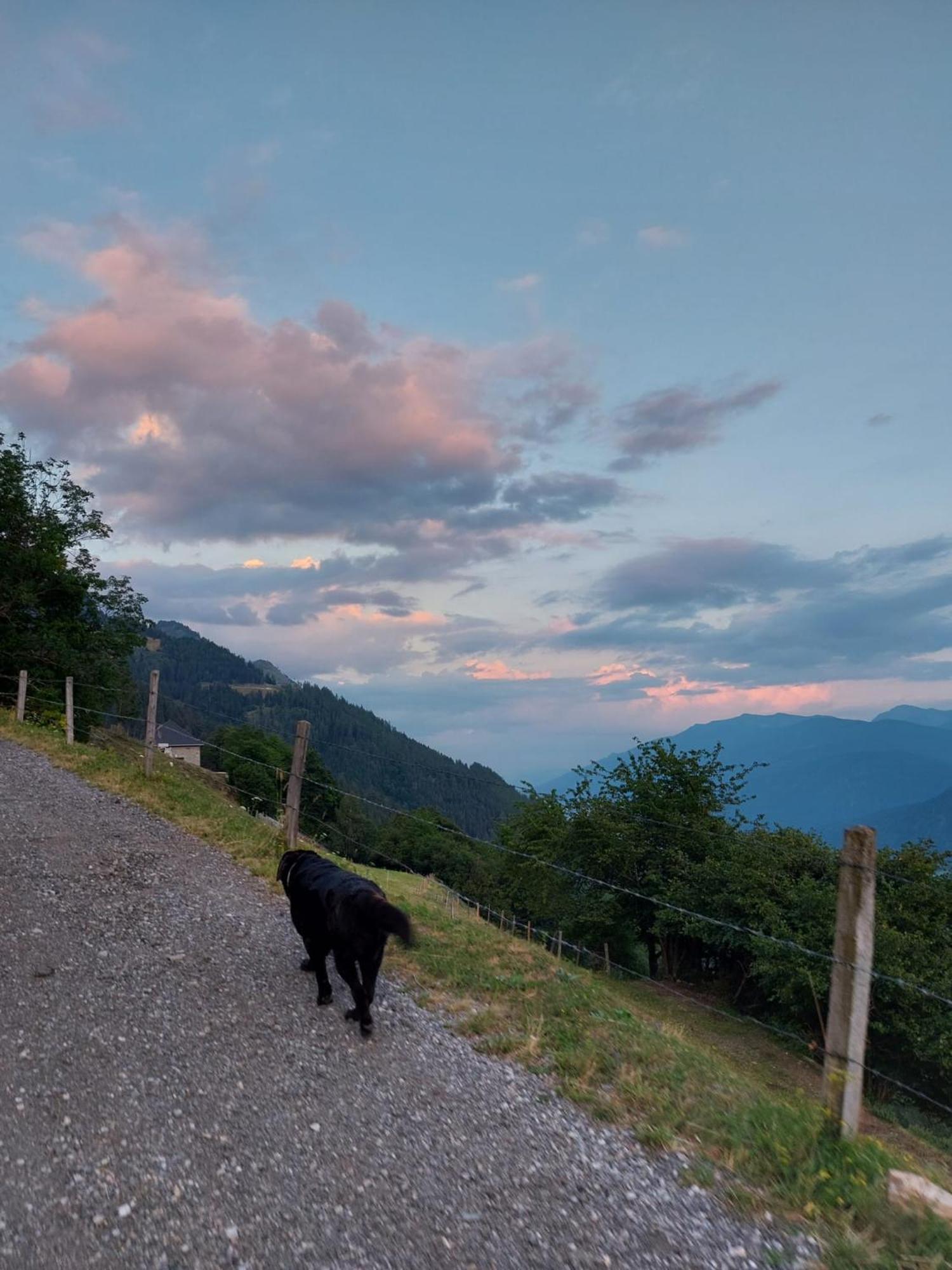 Panoramapension Platzer Unterkolbnitz 外观 照片